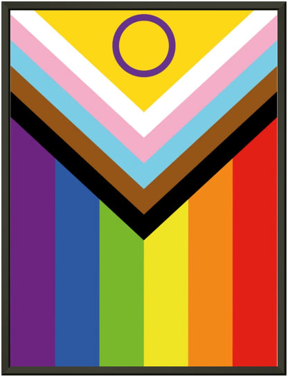 Metal Frame Wall Poster - New Progress Pride Flag Design