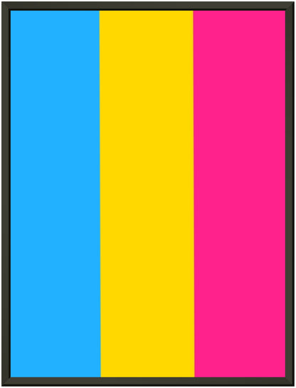 Metal Frame Wall Poster -  Pansexual Flag Design