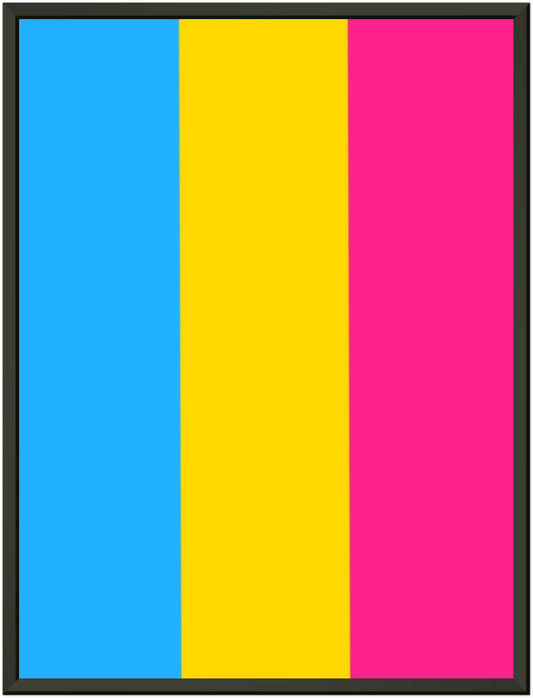 Metal Frame Wall Poster -  Pansexual Flag Design