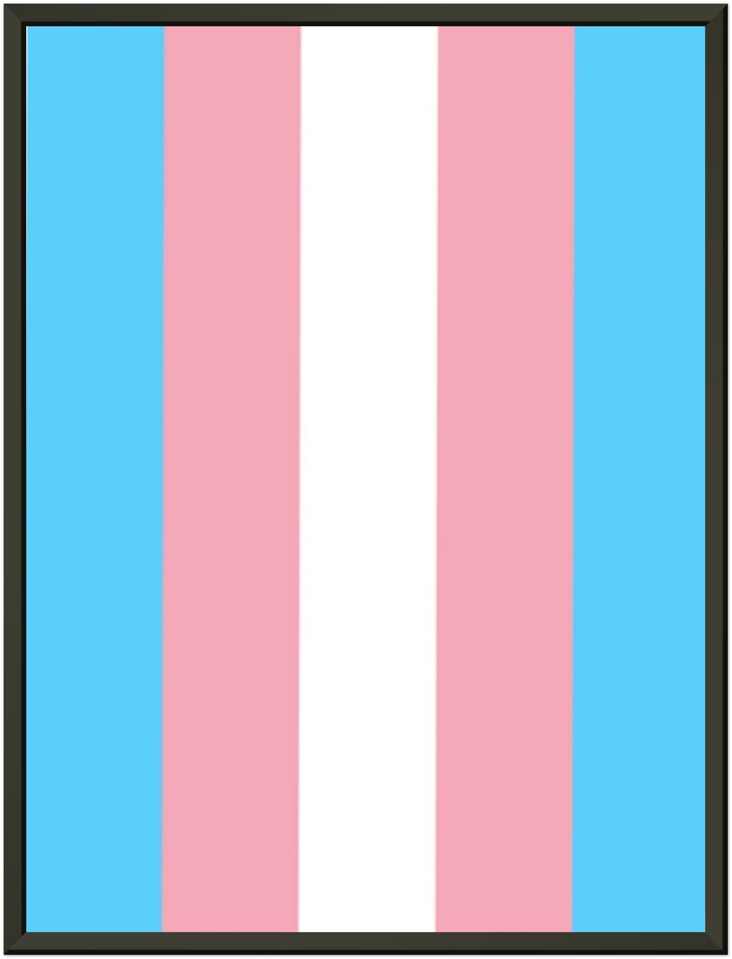 Metal Frame Wall Poster - Transgender Flag Design