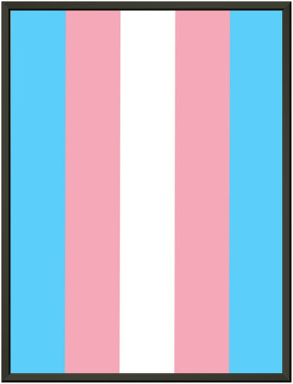 Metal Frame Wall Poster - Transgender Flag Design