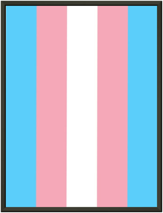 Metal Frame Wall Poster - Transgender Flag Design